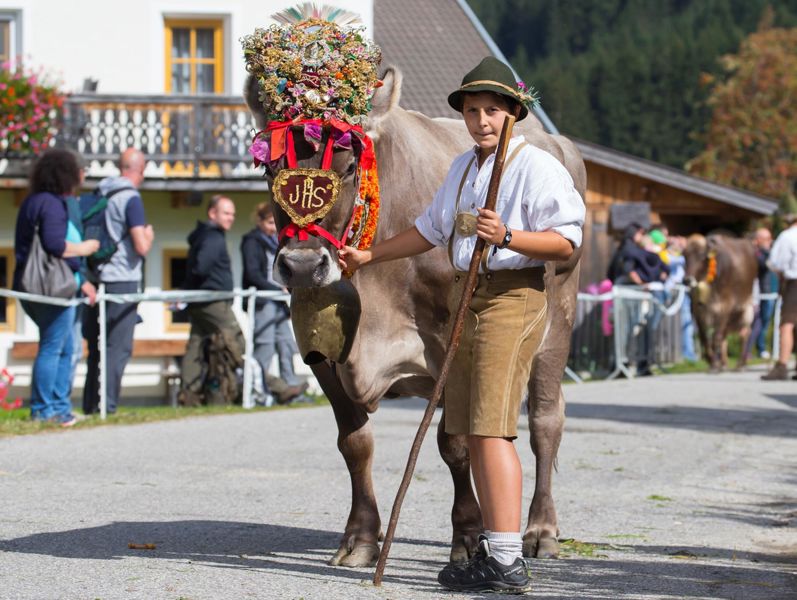 Almabtrieb St. Martin